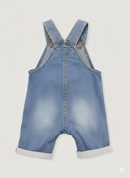 Blue Denim Dungaree with Animal Patch Embroidery