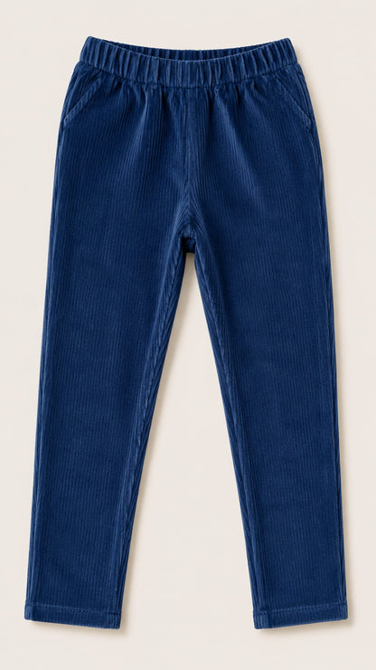 Navy Winter Corduroy Pants
