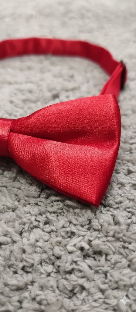 Red Bow Tie Ready to Use– Easy Wear Formal Accessory for Boys
