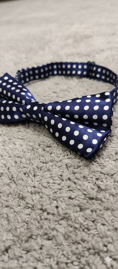 Blue & White Polka dot Bow Tie Ready to Use– Easy Wear Formal Accessory for Boys